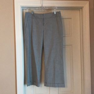 The Limited Cassidy Crop